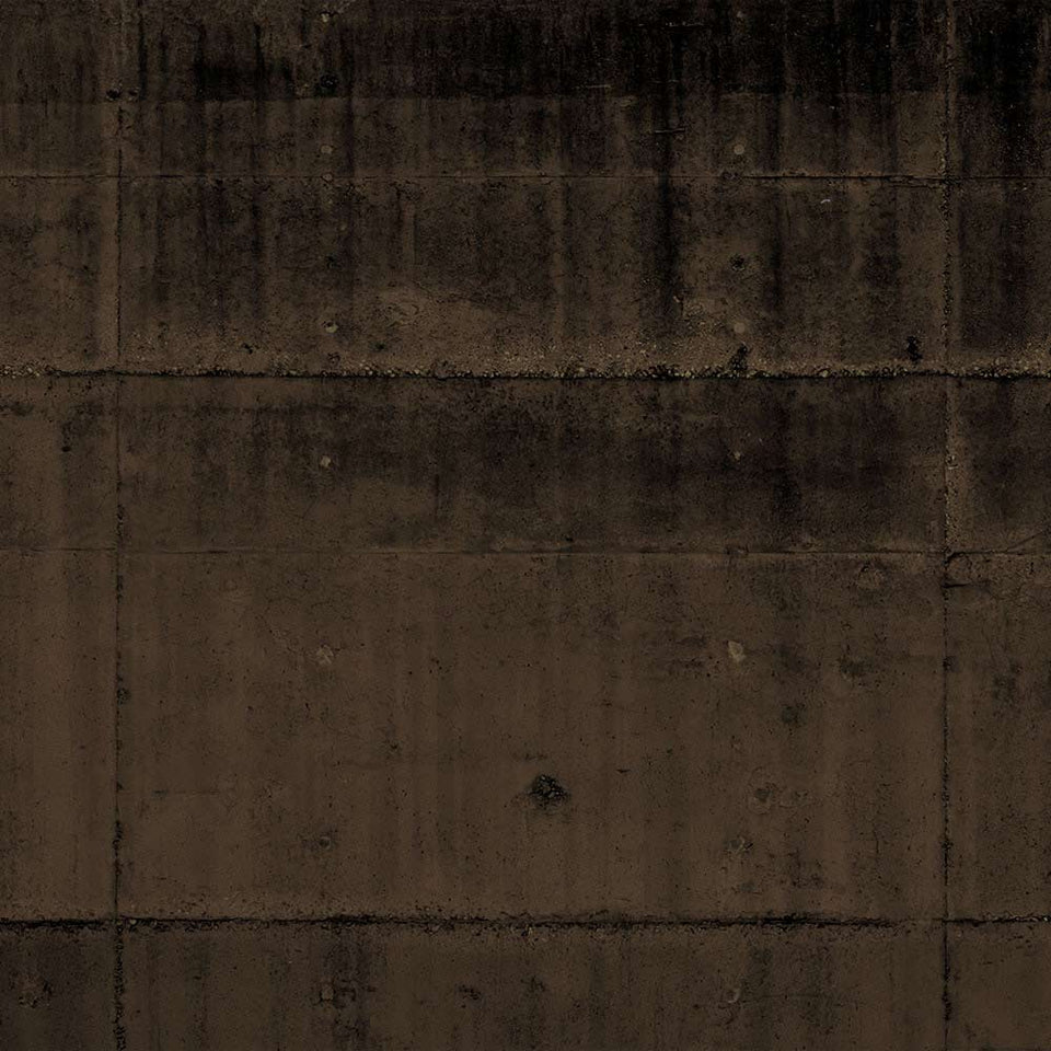 Wilshire - Sepia Mural