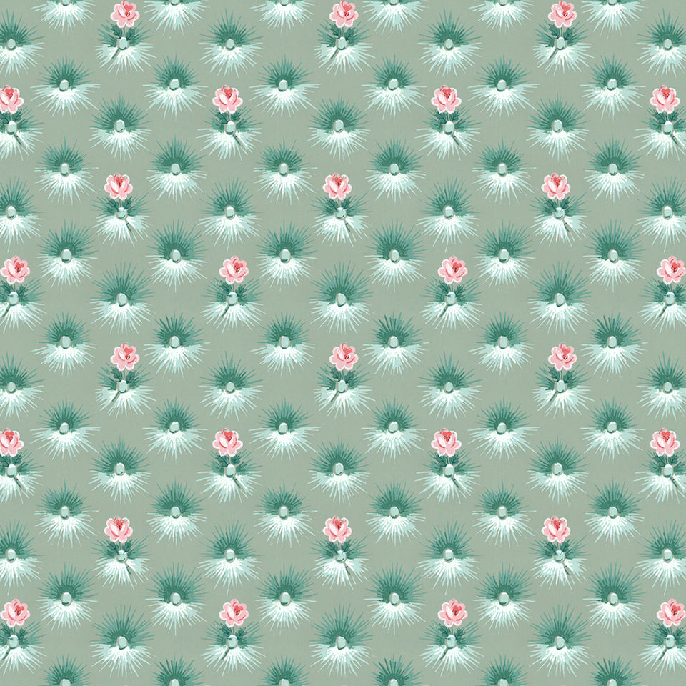 Judy Wallpaper