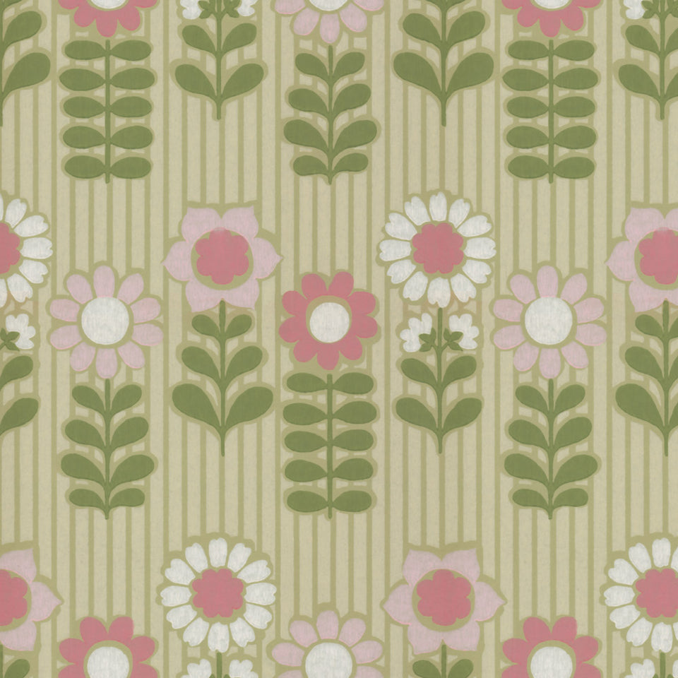 Gracie Wallpaper