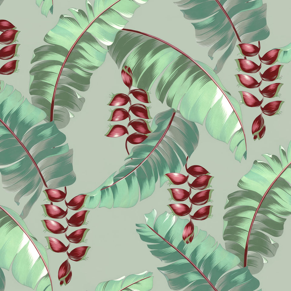 Waikiki - Jubilation Wallpaper