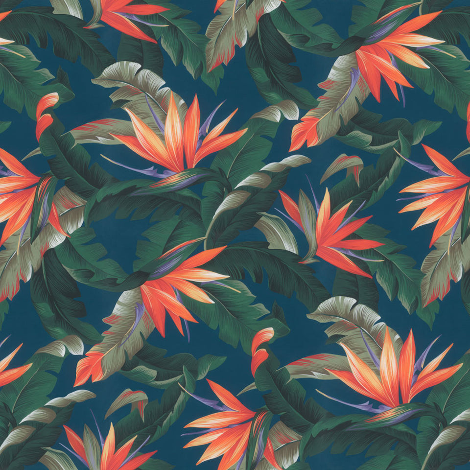 Wailea - Divine Wallpaper