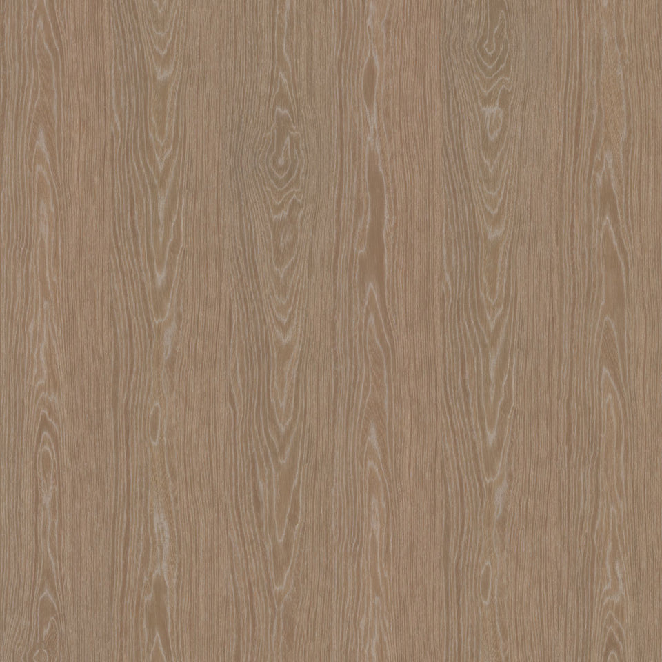 Cerused Ginkgo Wallpaper