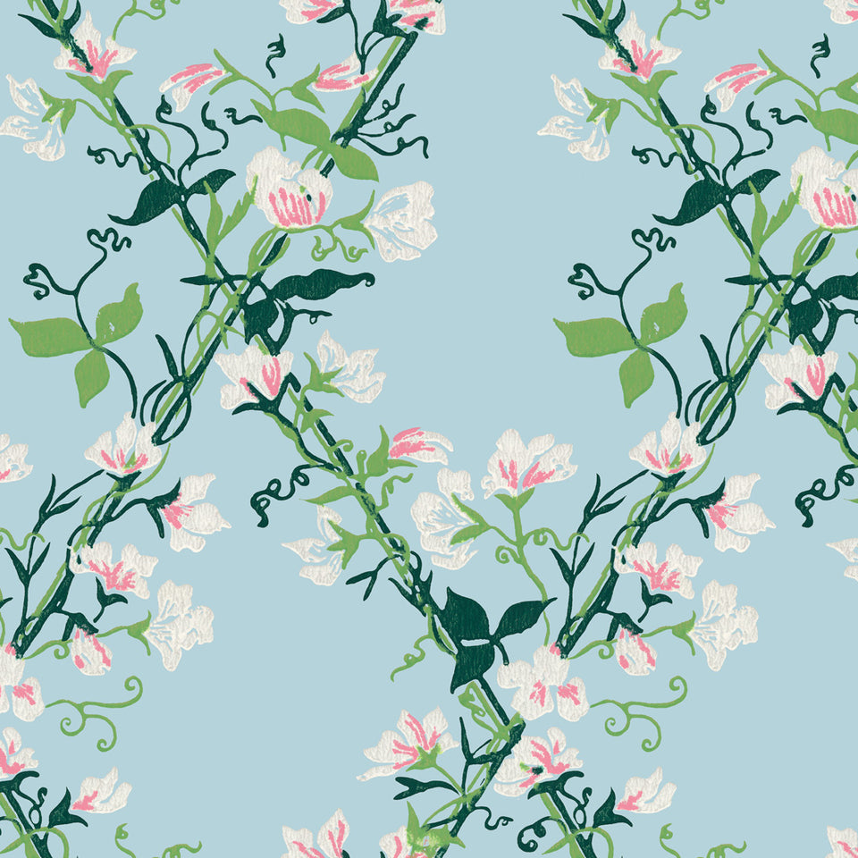 Morning Glory Trellis Wallpaper - Sky