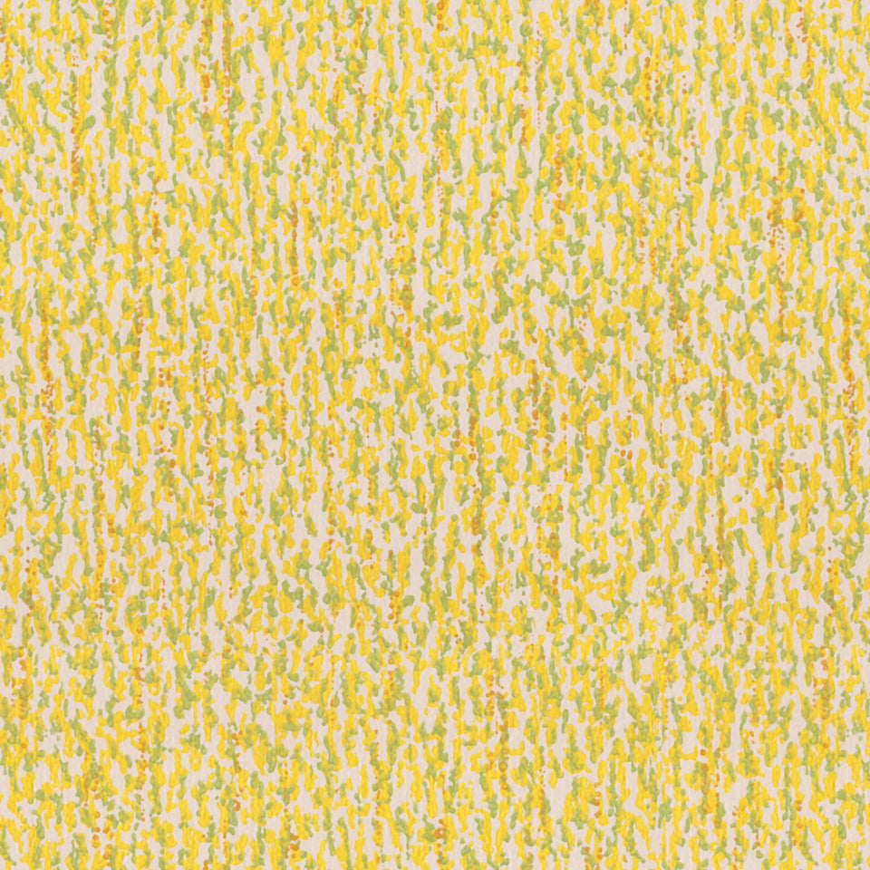 Marin - Daffodil Wallpaper