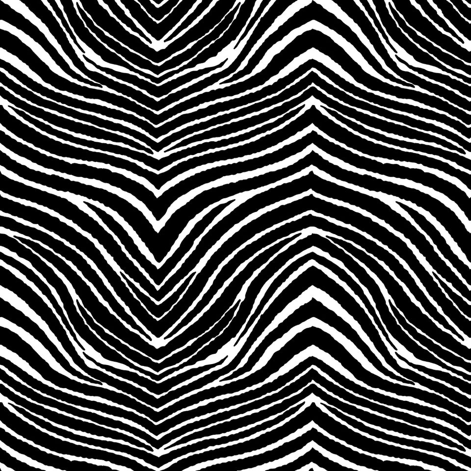 Sweet Zebra - Black and White Wallpaper