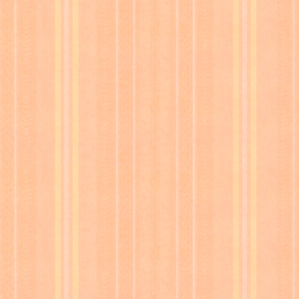 Apricot Wallpaper