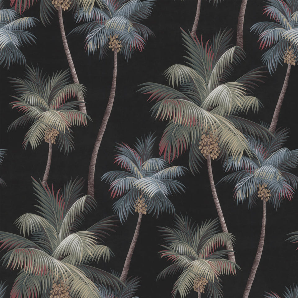 Poipu - Queen Palm Wallpaper