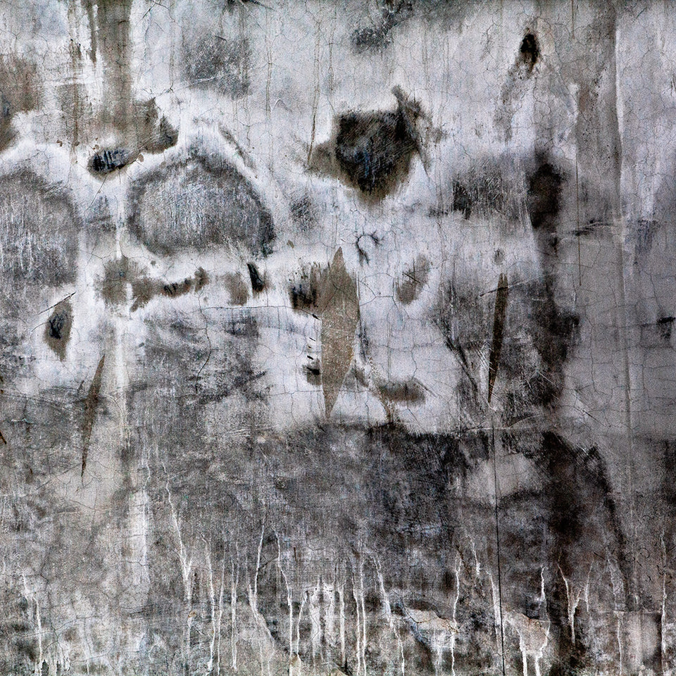 Exposure 5 Mural